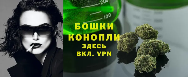 купить закладку  Кириллов  Бошки Шишки THC 21% 